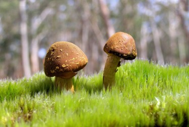 肇庆鼎湖区8私人老板放款：轻松融资的秘密通道